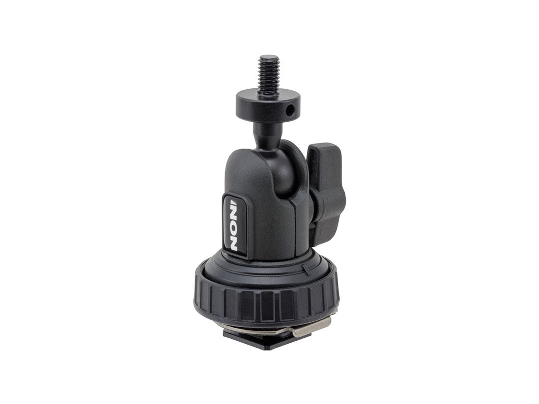 Shoe Base M6