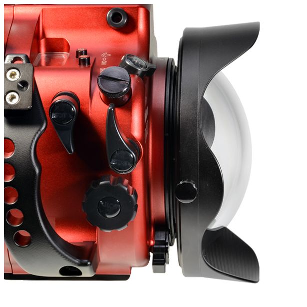 Isotta - Isotta 6" Dome Port -B120