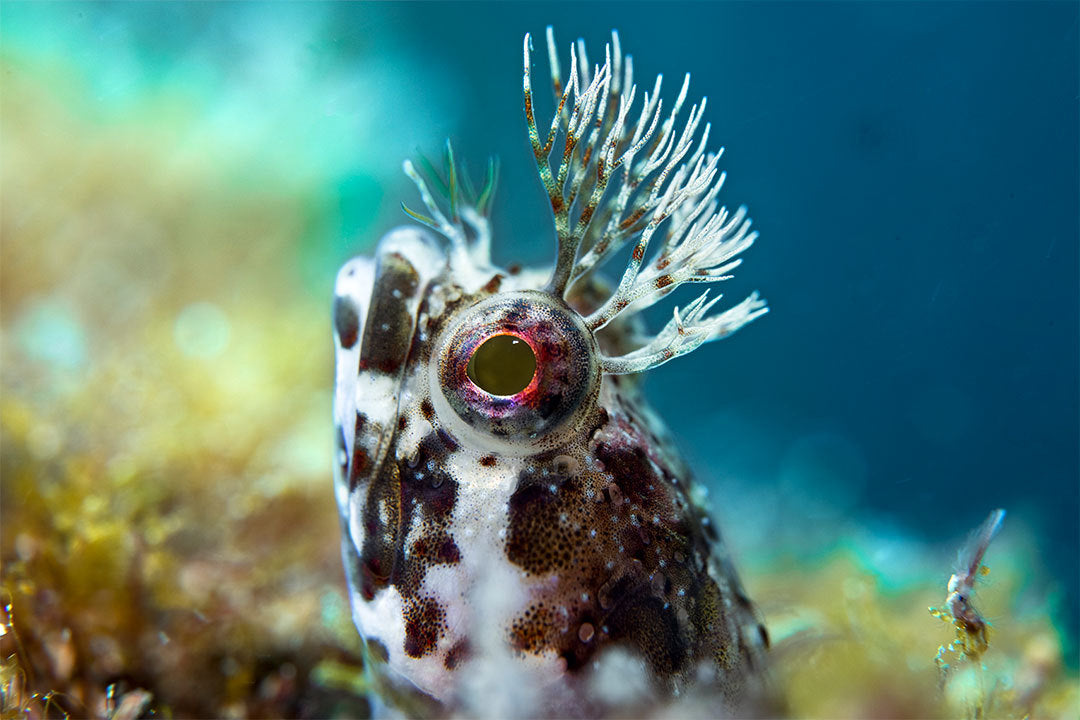 The Hidden Secret to Better TG-7 Macro Photos