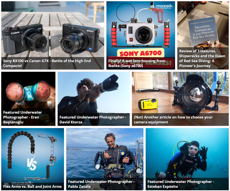The top blog post on the Mozaik Underwater Photography Blog