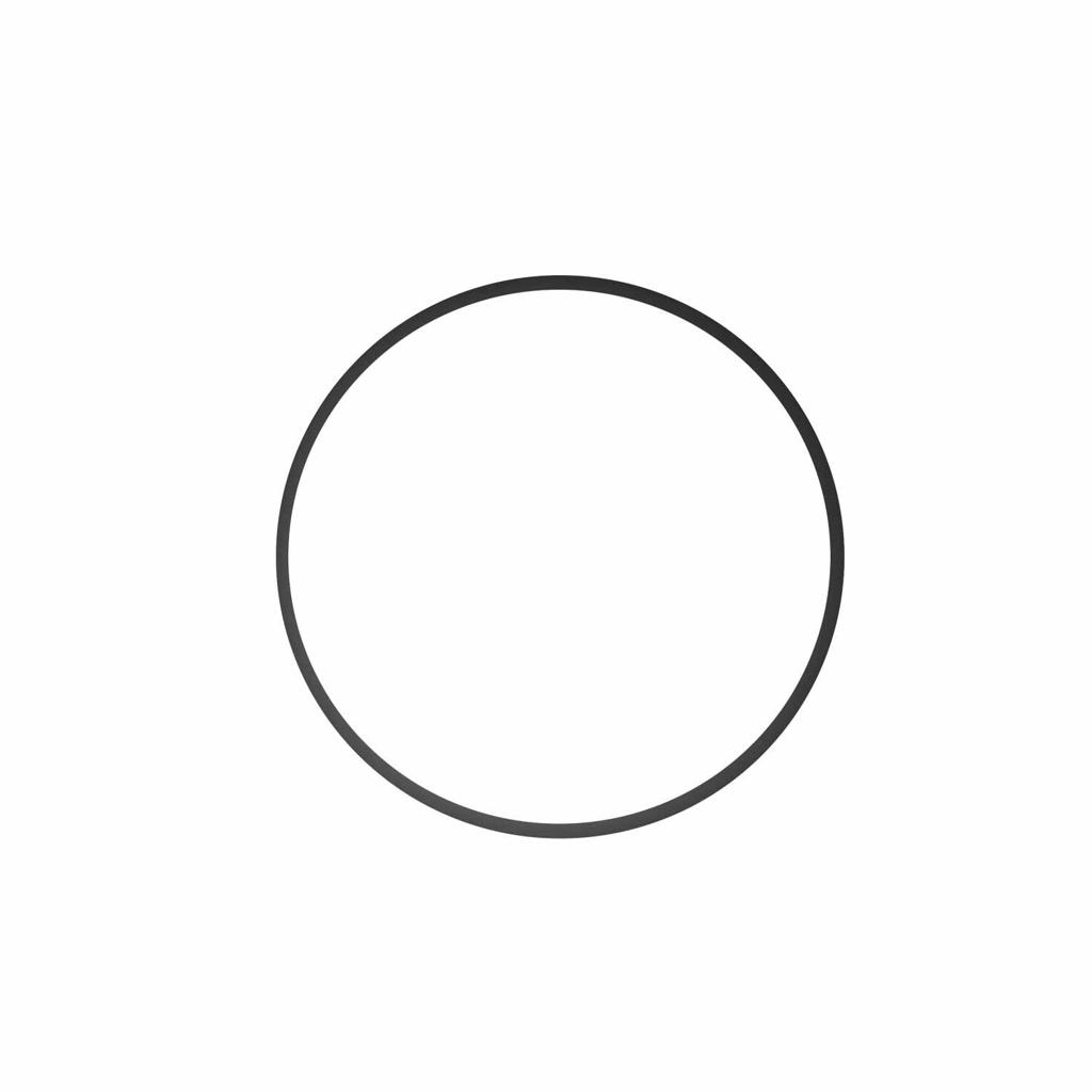 Olympus - Olympus POL-058 Replacement O-Ring for PT-058 Underwater Housing