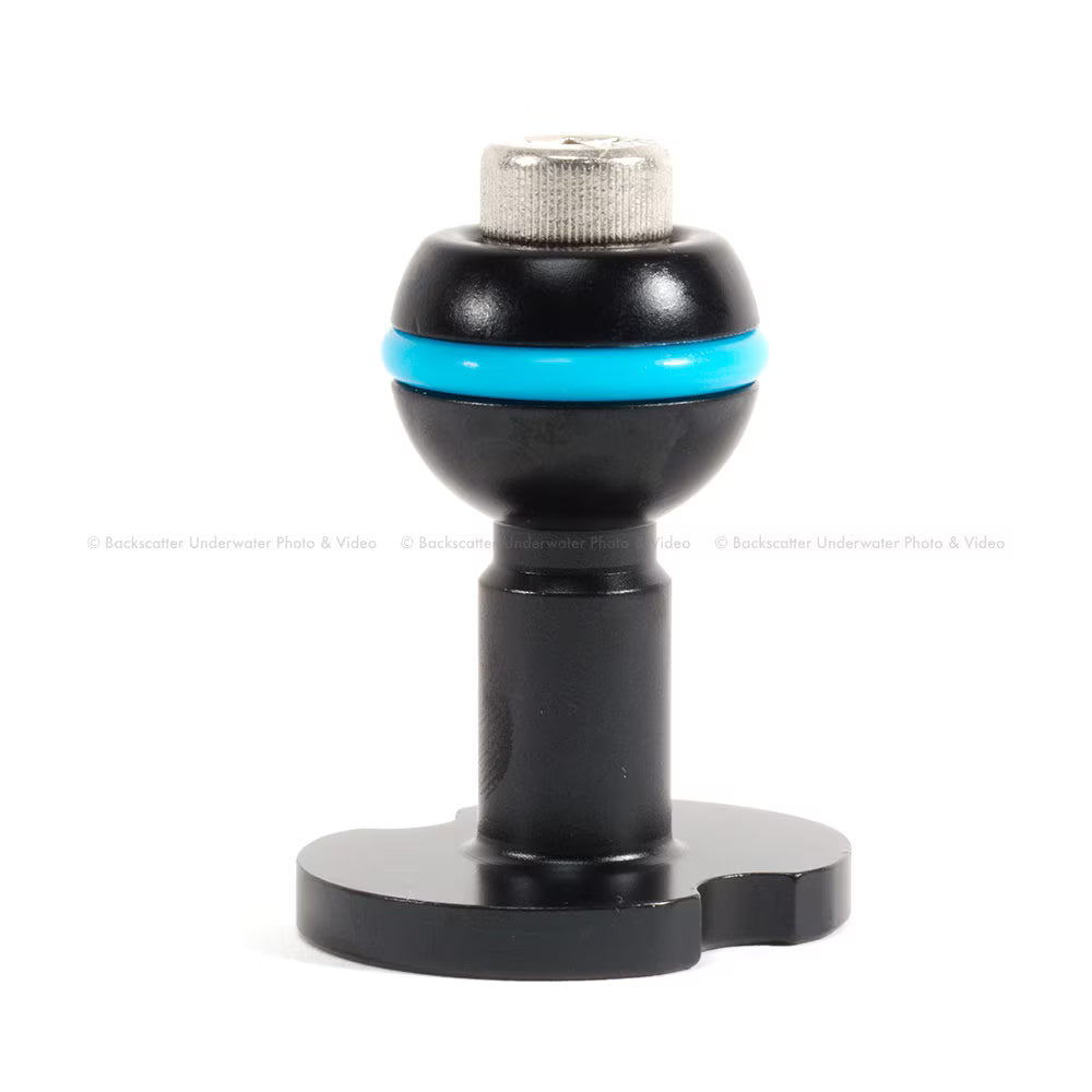 Strobe mounting ball for Easitray & Flexitray