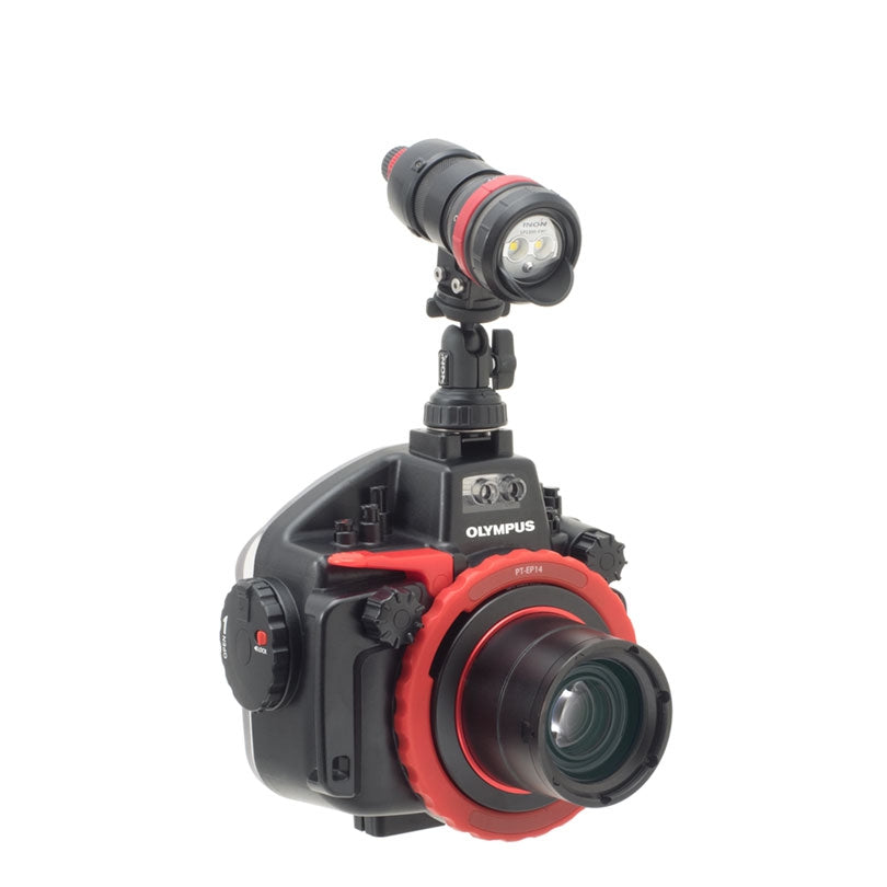Single Light Holder LF for Tripod